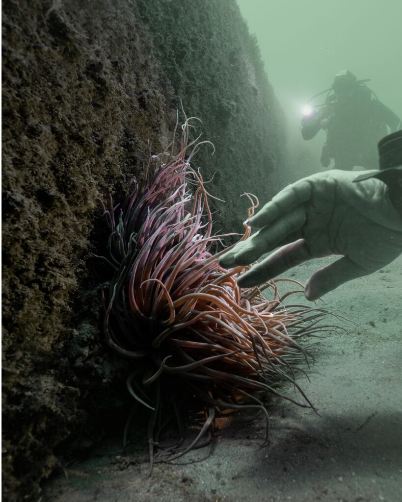 IG POST NOU FORMAT (54)